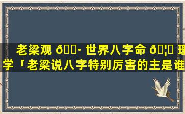 老梁观 🌷 世界八字命 🦈 理学「老梁说八字特别厉害的主是谁」